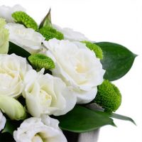 Композиция «Лайм»