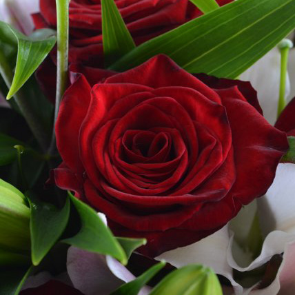Букет лилий с розами «Маргаритка»