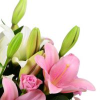 Букет лилий «Проказница»