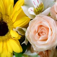 Букет «Солнечный лучик»
