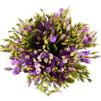 Букет эустом «Белоснежка»