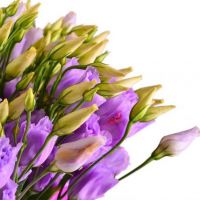 Букет эустом «Белоснежка»