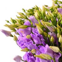 Букет эустом «Белоснежка»