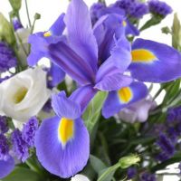 Букет с эустомами и ирисами «Водолей»