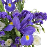 Букет с эустомами и ирисами «Водолей»