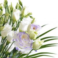 Букет с эустомами «Полярный»