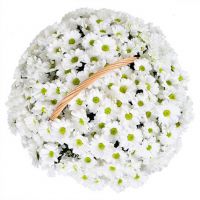 Корзина с хризантемами «Лукошко»