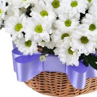 Корзина с хризантемами «Лукошко»