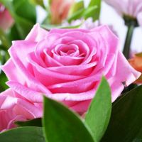 Букет «Прикосновение»