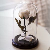 Вечная роза в стеклянной колбе белая