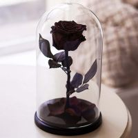 Вечная роза в стеклянной колбе черная