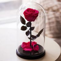 Вечная роза в стеклянной колбе «светлая вишня»