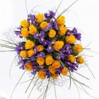 «Воспоминания о прекрасном»