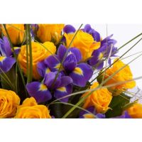 «Воспоминания о прекрасном»