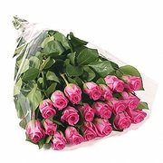 25 розовых роз (40 см)