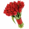 25 тюльпанов красных