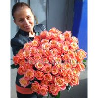 51 коралловая роза «Мисс Пигги»