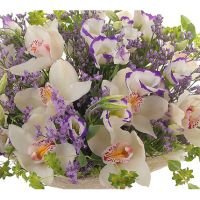 «Мальвина»