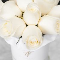 Белые розы в белой коробке Small