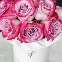 Розы «Deep purple» в белой коробке Small