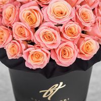 Коралловые розы в черной коробке Royal