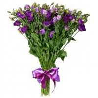 «Шум прибоя»