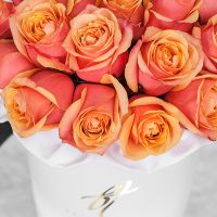 Розы «Черри бренди» в голубой коробке