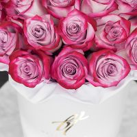 Розы «Deep purple» в голубой коробке