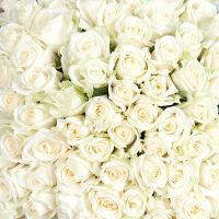 15 белых роз 40 см