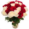25 роз красных и белых (50 см)