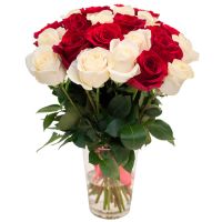 25 роз красных и белых (50 см)
