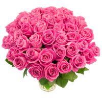 75 розовых роз