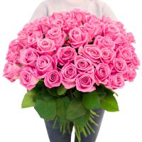 75 розовых роз