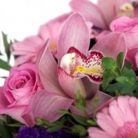 «Мгновения»