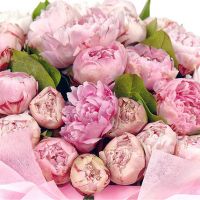 Букет из 51 пиона «Райское наслаждение»