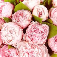 «Наслаждение»