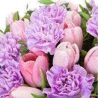 Букет гвоздик «Карла»