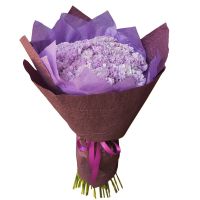 Букет из 51 фиолетовой гвоздики