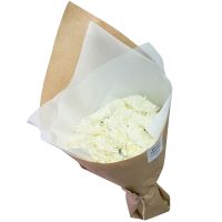 Букет гвоздик «Зефирка»