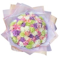 101 гвоздика МИКС