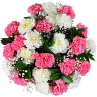 Букет гвоздик «Ламбада»