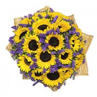 «Солнце в париже»