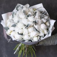 51 белый пион