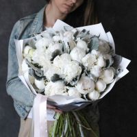 51 белый пион