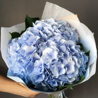 Нежный букет голубых гортензий с оформлением