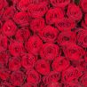 Букет из 11 роз «Ред наоми» 40 см