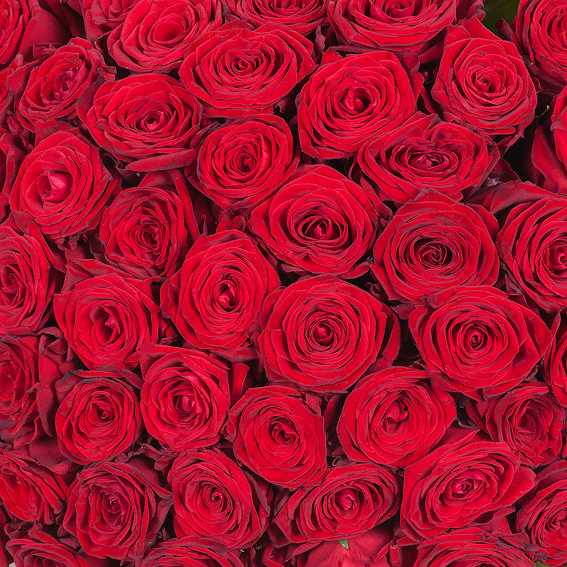 Букет красных роз 70 см «Карина»