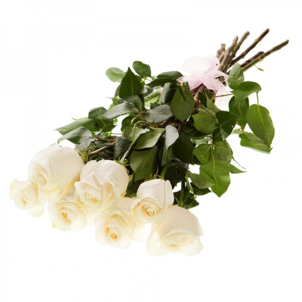 Букет белых роз «Белла»