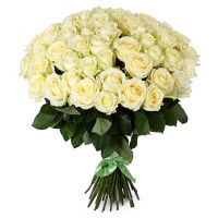 51 белая роза «Вайт Наоми»