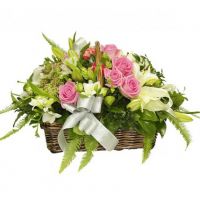 «Тропическая свежесть»